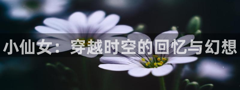 cos动漫天堂官网下载
