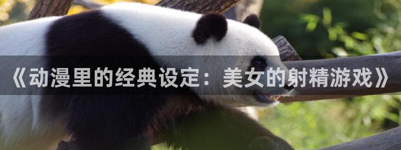 3d动漫天堂网