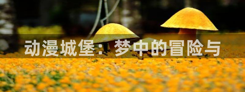 av动漫天堂网