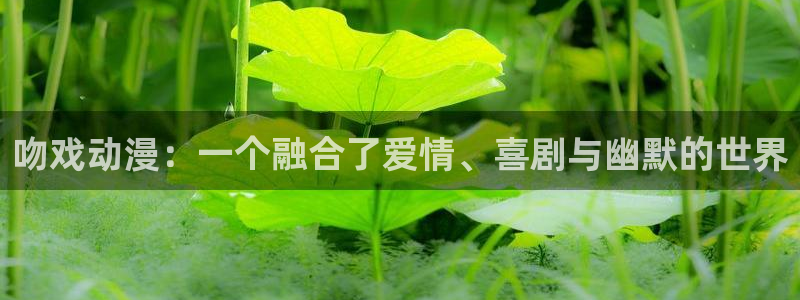 动漫天堂在线看