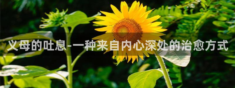 动漫天堂下载安装最新版