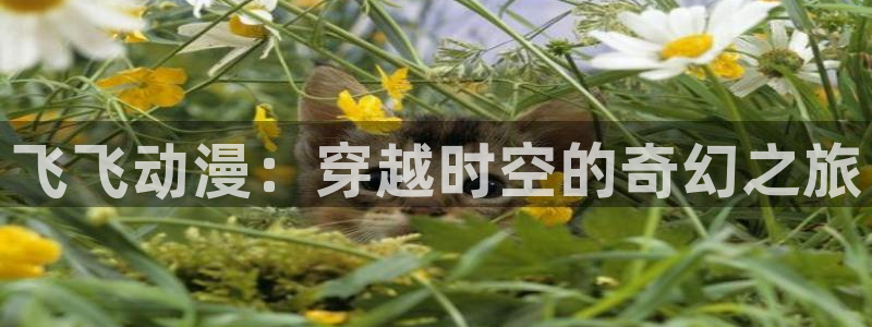 bt动漫天堂