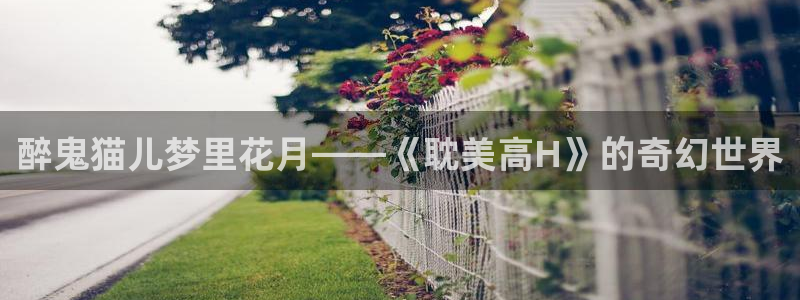 动漫天堂官方正版下载