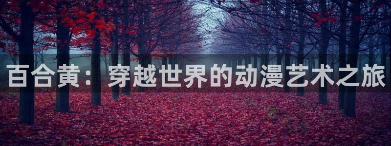 动漫天堂软件