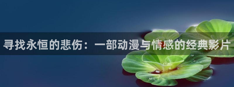 bt动漫天堂