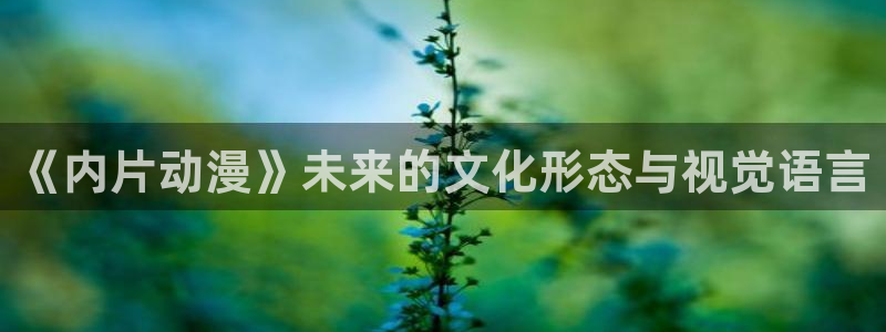 亚洲动漫天堂：《内片动漫》未来的文化形态与视觉语言