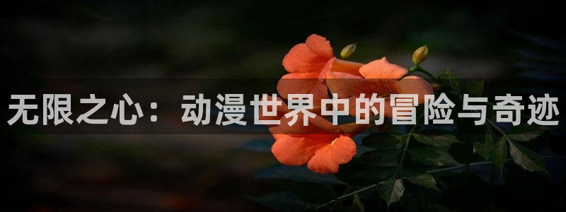 动漫天堂下载