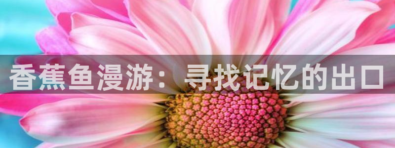 动漫天堂在线免费观看