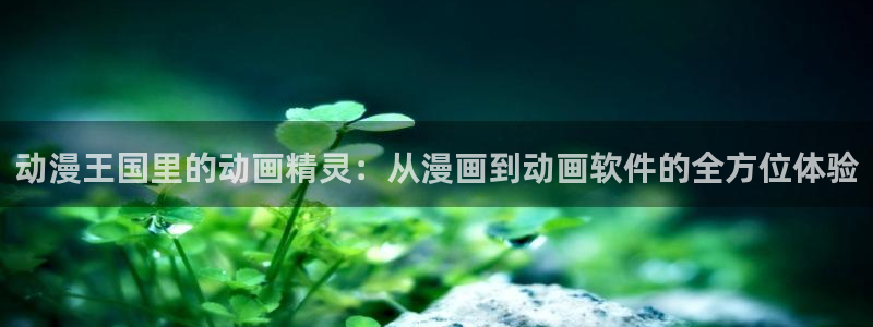 coco动漫天堂