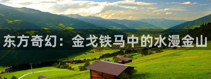 成人动漫天堂网