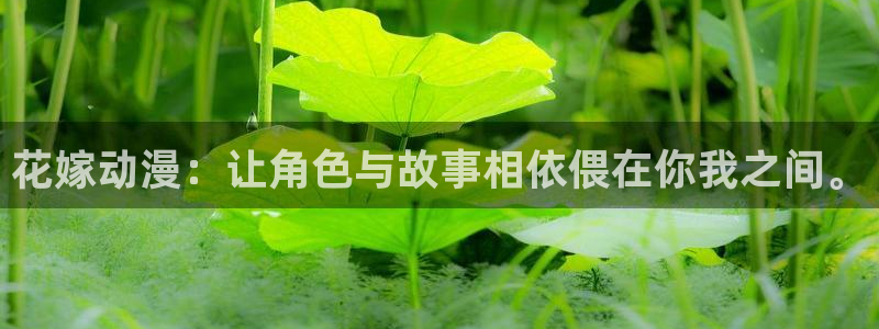 动漫天堂免费在线观看