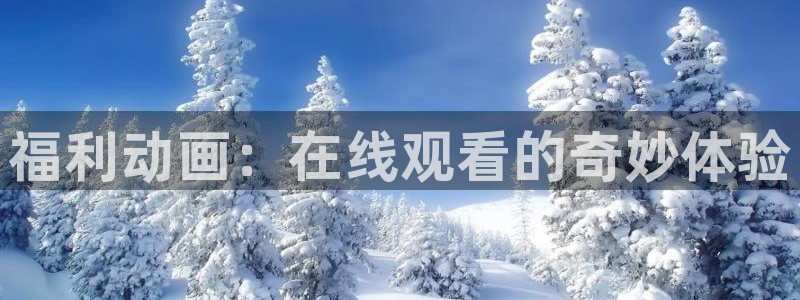 动漫天堂官网