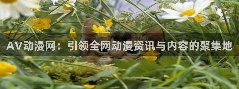 秋叶原动漫天堂