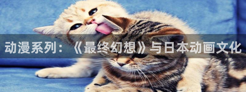 亚洲动漫天堂