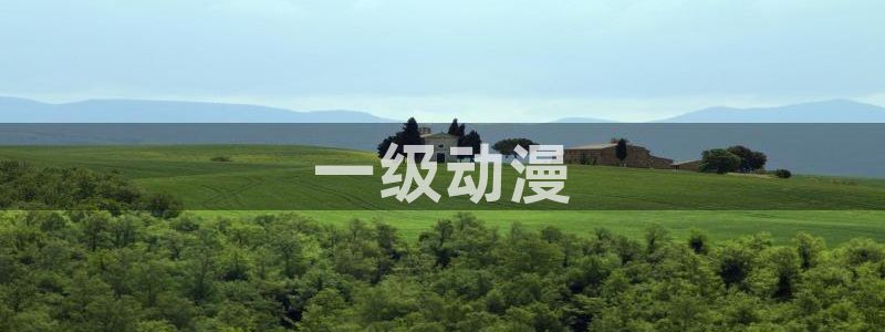 coco动漫天堂