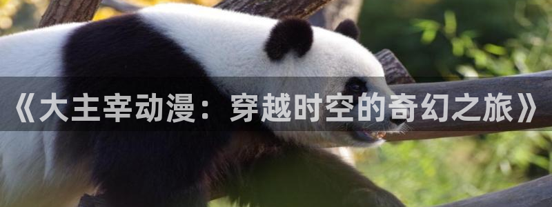 下载动漫天堂