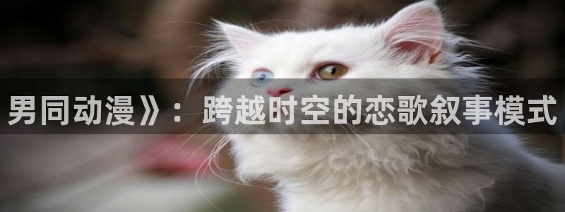 亚洲成人动漫天堂