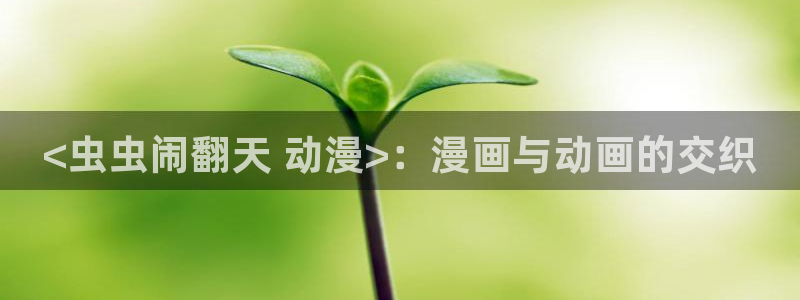 动漫天堂