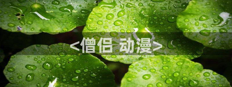 18禁动漫天堂