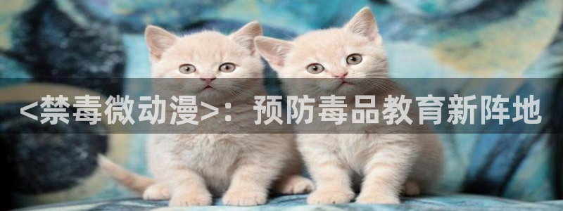樱花动漫天堂