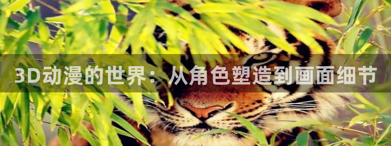 动漫天堂官方正版下载