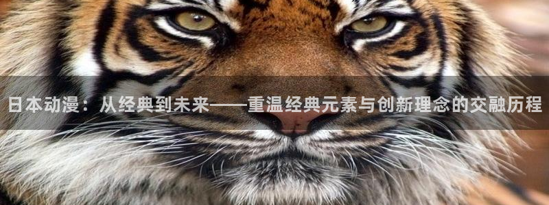 禁动漫天堂