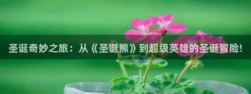 动漫天堂网站