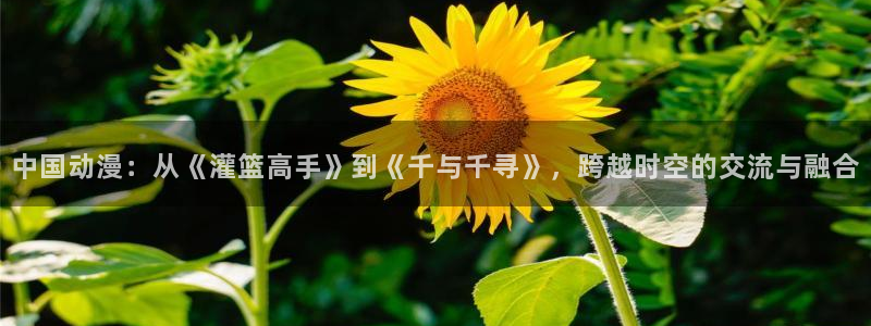 亚洲动漫天堂在线
