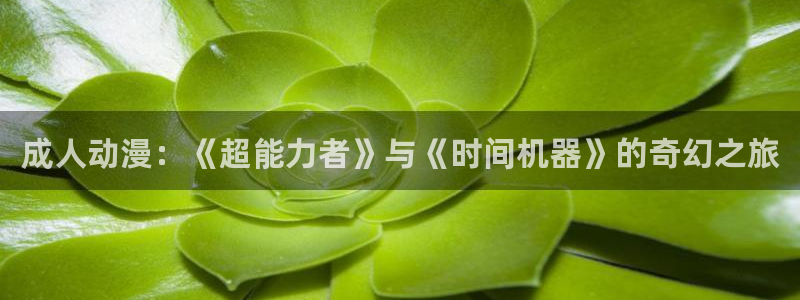 动漫天堂在线看：成人动漫：《超能力者》与《时间机器》的奇幻之旅
