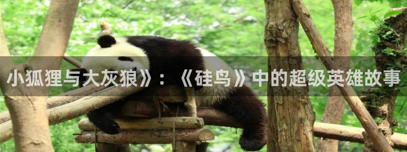 秋叶原动漫天堂：小狐狸与大灰狼》：《硅鸟》中的超级英雄故事