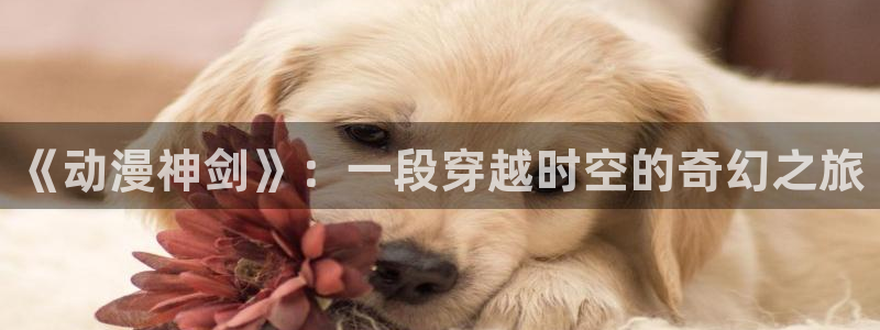 番剧推荐动漫天堂.：《动漫神剑》：一段穿越时空的奇幻之旅