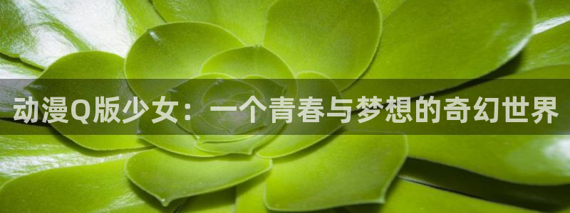 动漫天堂免费在线观看