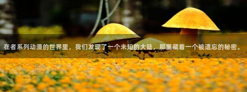 动漫天堂官网
