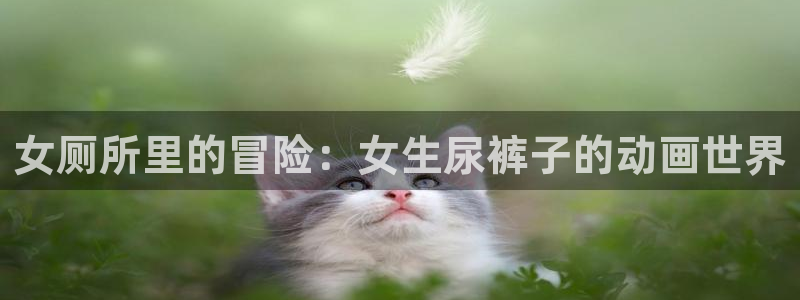 www.动漫天堂