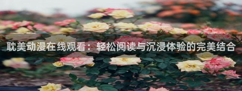 动漫天堂91