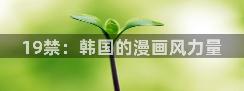 动漫天堂网