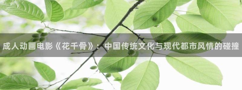 动漫天堂下载安装最新版
