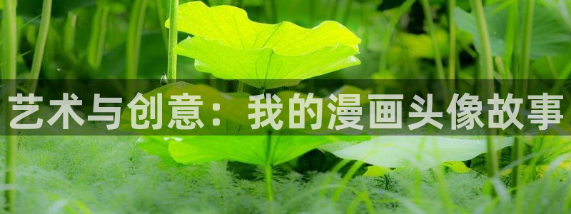 禁动漫天堂