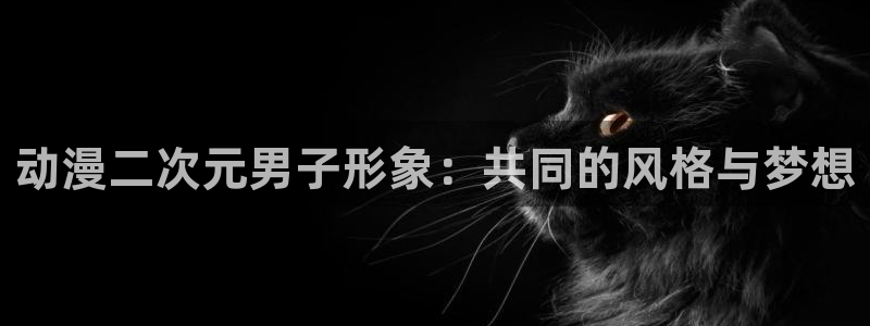 动漫天堂官方正版下载