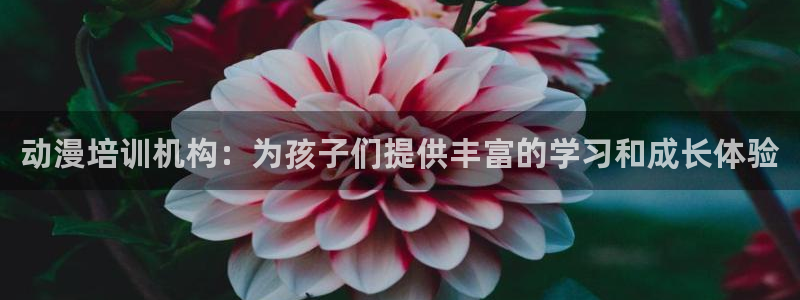 动漫天堂18