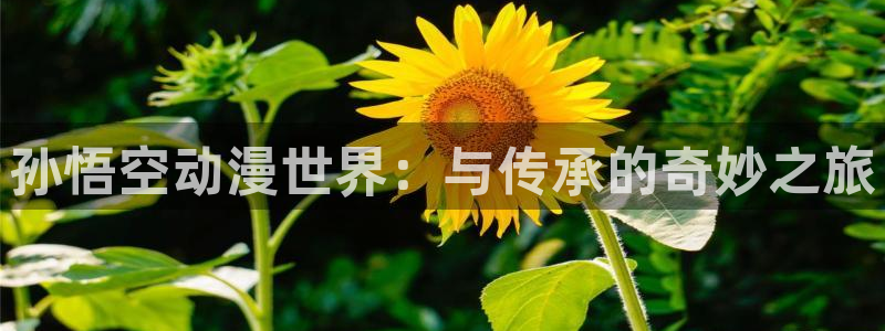 免费动漫天堂之吻