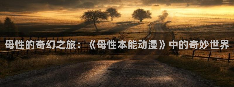 91动漫天堂