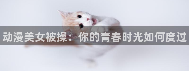 动漫天堂官网