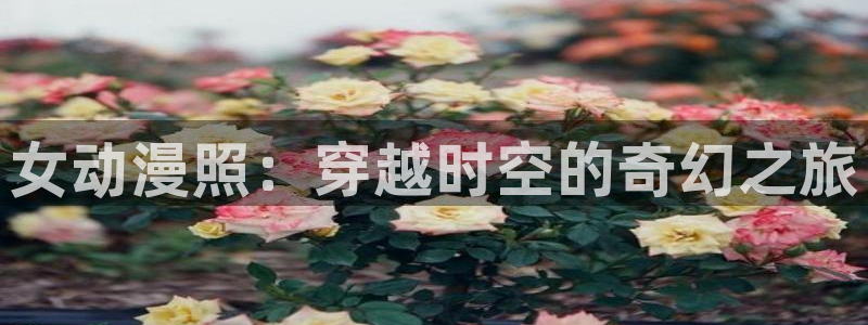 番剧推荐动漫天堂.