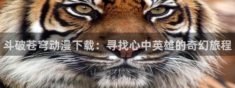 动漫天堂.cc