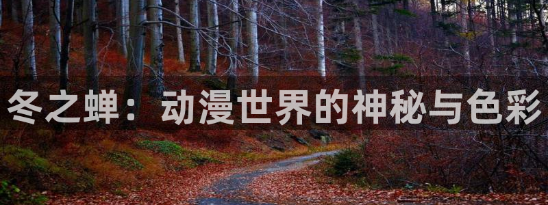 动漫天堂在线观看
