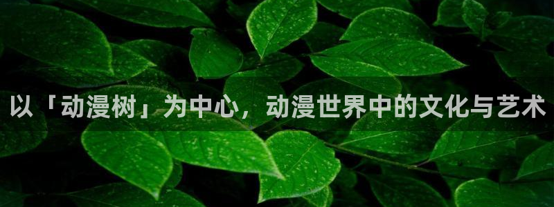 jk动漫天堂