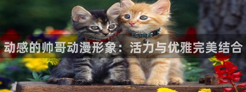 男人动漫天堂在线