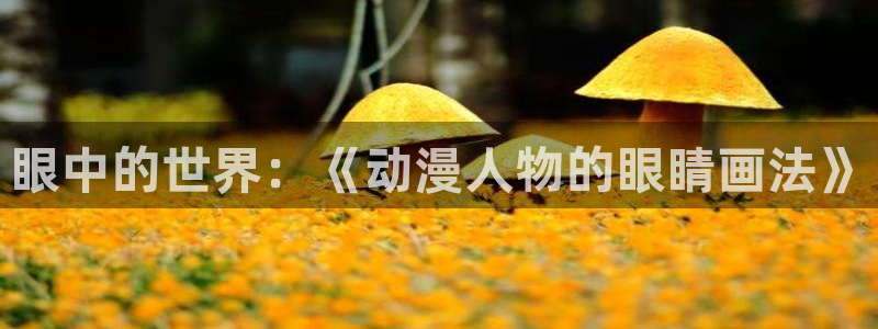 免费a漫动漫天堂.：眼中的世界：《动漫人物的眼睛画法》