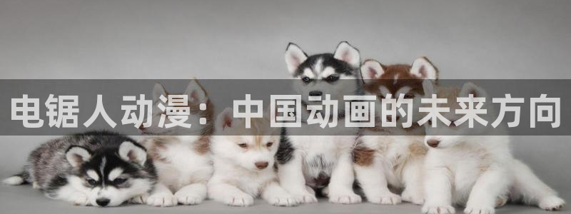 动漫天堂在线免费观看